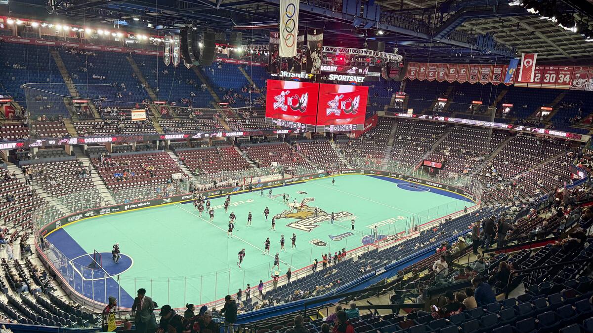 Arena view