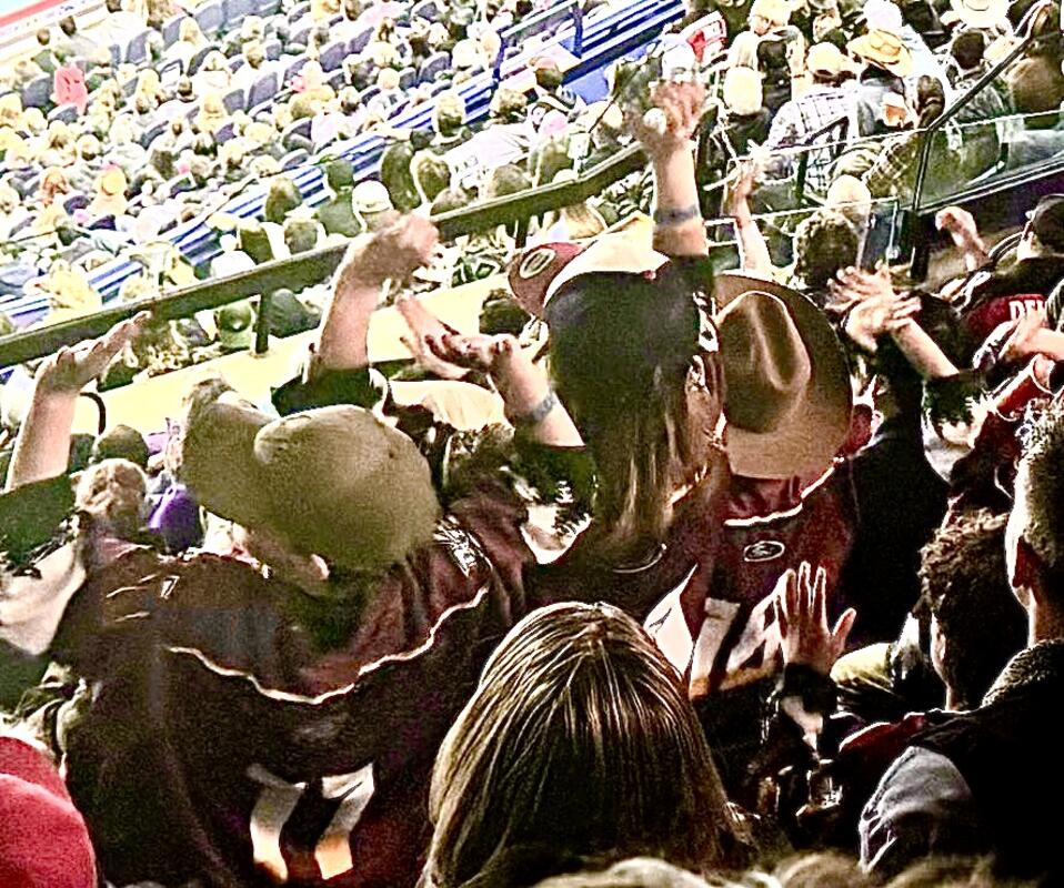 Crowd doing the wave